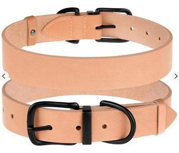 Нашийник Для Собак Шкіряний BronzeDog Classic з Металевою Фурнітурою Персиковий, 2XL (32 мм, 48-66 см) А12300 фото