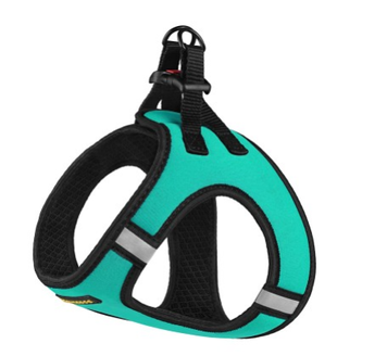Шлея для Собак Bronzedog Sport Vest неопрен 3D сітка Бірюзова А10423 фото