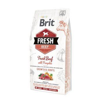 Сухий корм Brit (Бріт) Fresh Beef With Pumpkin Puppy Large для цуценят великих порід А07127 фото